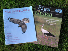 VF o F&aring;gelv&auml;nnen